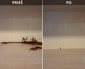 Visos valymo paslaugos. Dirbame visoje Lietuvoje ! / MB "HD Clean" / Darbų pavyzdys ID 4103896