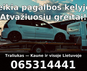 Automobilių pervežimas traliuko paslaugos Kaune ir Lietuvoje / Tralas Kaune / Darbų pavyzdys ID 4104656