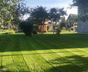 Statybos, apdaila - Žolės Pjovimas Su Trimeriu Ir Žoliapjove - 1