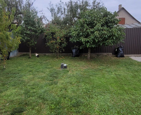 Tuju,gyvatvoriu karpymas,žeminimas,formavimas / Vitalijus Juodaitis / Darbų pavyzdys ID 4105754