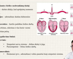 Biocode – tavo kelias į 100-tuką - Biologijos korepetitoriai - 3 Biologijos korepetitoriai - Biocode – tavo kelias į 100-tuką - 3