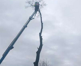 Statybinės technikos nuoma - Automobilinio bokštelio nuoma - 2
