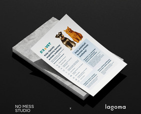 Grafinis dizainas / Rinkodara / Mokymai ir konsultacijos / No Mess Studio / Darbų pavyzdys ID 4107066