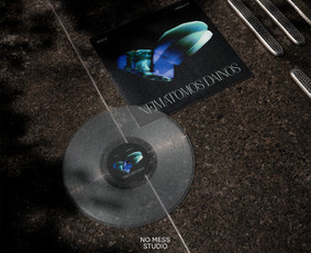 Grafinis dizainas / Rinkodara / Mokymai ir konsultacijos / No Mess Studio / Darbų pavyzdys ID 4107122