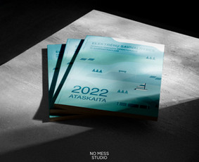 Grafinis dizainas / Rinkodara / Mokymai ir konsultacijos / No Mess Studio / Darbų pavyzdys ID 4107126