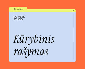 Grafinis dizainas / Rinkodara / Mokymai ir konsultacijos / No Mess Studio / Darbų pavyzdys ID 4107172