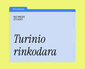 Grafinis dizainas / Rinkodara / Mokymai ir konsultacijos / No Mess Studio / Darbų pavyzdys ID 4107188