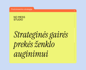 Grafinis dizainas / Rinkodara / Mokymai ir konsultacijos / No Mess Studio / Darbų pavyzdys ID 4107198