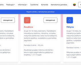 Programavimo paslaugos (web/mobile/software/ai ) - Programuotojai - 2 Programuotojai - Programavimo paslaugos (web/mobile/software/ai ) - 2