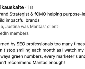 Seo paslaugos, Ai Seo. Nemokamas (ai) Seo auditas / Mantas Tamošaitis / seopaslaugos.io / Darbų pavyzdys ID 4107590