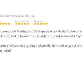 Seo, Ai Seo jūsų projektui. Nemokamas Seo/ai auditas / Mantas Tamošaitis / Darbų pavyzdys ID 4107592