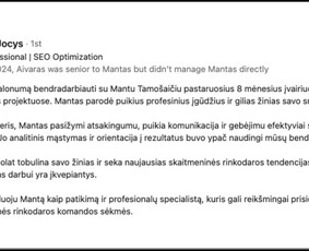 Seo, Ai Seo jūsų projektui. Nemokamas Seo/ai auditas / Mantas Tamošaitis / Darbų pavyzdys ID 4107594