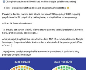 Seo, Ai Seo jūsų projektui. Nemokamas Seo/ai auditas / Mantas Tamošaitis / Darbų pavyzdys ID 4107602