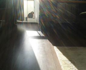 Video filmų kūrimas - Video filmavimas, operatorius - 2