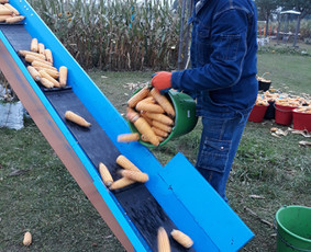 Video filmų kūrimas - Video filmavimas, operatorius - 3