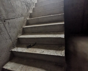 Laiptų gamyba ir montavimas / Rokas / Darbų pavyzdys ID 4108596
