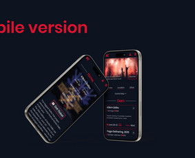 Svetainių dizainas (web design) - Grafikos dizainas - 4