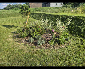 Kraštovaizdžio projektavimas - Vejos įrengimas ir kiti sodo darbai - 2