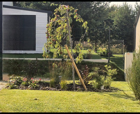 Kraštovaizdžio projektavimas - Vejos įrengimas ir kiti sodo darbai - 1