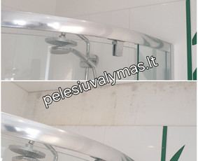 Pelėsio naikinimo paslaugos - Pelėsio ir grybų naikinimas - 4