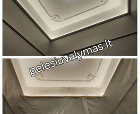 Pelėsio ir grybų naikinimas / MB Molderis / Darbų pavyzdys ID 4109924