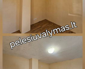 Pelėsio ir grybų naikinimas / MB Molderis / Darbų pavyzdys ID 4109926