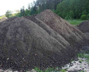 Lapų šakų išvežimas - Apželdinimo konsultacija - 1 Apželdinimo konsultacija - Lapų šakų išvežimas - 1