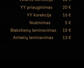 Blakstienu priauginimas bei blakstienų antakių lam - Blakstienų priauginimas - 3 Blakstienų priauginimas - Blakstienu priauginimas bei blakstienų antakių lam - 3