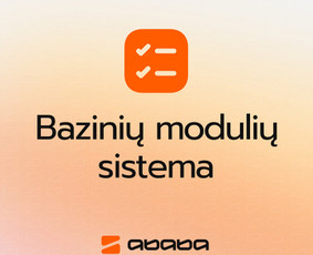 Verslo valdymo sistema / ababa / Darbų pavyzdys ID 4110376