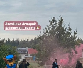 Animatorė vaikų šventėms / Animatorė vaikų šventėms Linksmoji šventė / Darbų pavyzdys ID 4110424