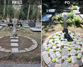 Kapavietės viduje iškloti asimetriški akmenys, tarpuose pasodinti kiliminiai augalai