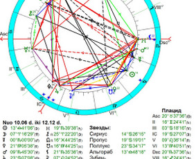 Individualios astrologinės konsultacijos / Ieva Adlytė / Darbų pavyzdys ID 4111810