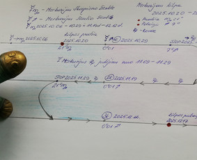 Individualios astrologinės konsultacijos / Ieva Adlytė / Darbų pavyzdys ID 4111812