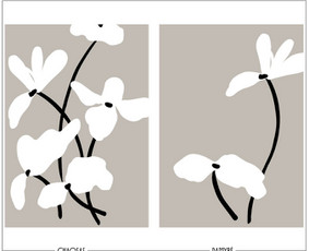 Grafinio dizaino darbai spaudai ir skaitmenai - Spaudos maketų gamyba - 1 Spaudos maketų gamyba - Grafinio dizaino darbai spaudai ir skaitmenai - 1