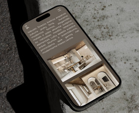 Modernių internetinių svetainių kūrimas / Deividas Sitdykov / Darbų pavyzdys ID 4112090