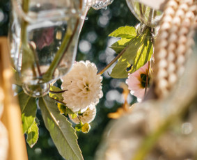 Renginiai, šventės - Jaukios istorijos, įamžintos nuotraukose - 4