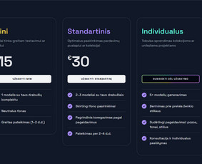 Modernios, greitos ir 100 % individualios svetainės / Loreta / Darbų pavyzdys ID 4112766