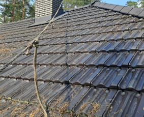 Stogų ir lietvamzdžių valymas / MB"Andaila" / Darbų pavyzdys ID 4112962