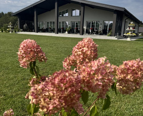 Salės nuoma ir maisto gamyba - Užkandžių gaminimas - 4 Užkandžių gaminimas - Salės nuoma ir maisto gamyba - 4