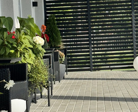 Salės nuoma ir maisto gamyba - Užkandžių gaminimas - 2 Užkandžių gaminimas - Salės nuoma ir maisto gamyba - 2