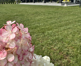 Salės nuoma ir maisto gamyba - Užkandžių gaminimas - 1 Užkandžių gaminimas - Salės nuoma ir maisto gamyba - 1