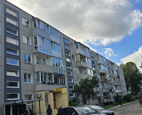 Aukštalipių darbai: siūlių remontas, dažymas, tinkavimas / Martynas Streckis / Darbų pavyzdys ID 4121094