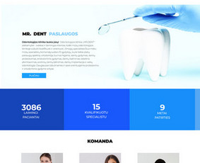Grafikos dizainas / Ui dizainas / Ux dizainas / Gintarė  Peru / Darbų pavyzdys ID 4121668
