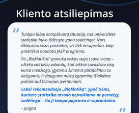 Ra&scaron;to darbų konsultantai - Statistikos paslaugos mokslo darbams - 3