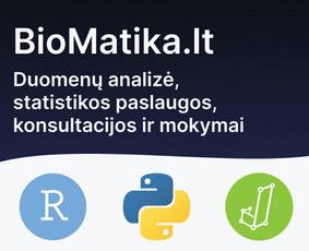 Ra&scaron;to darbų konsultantai - Statistikos paslaugos mokslo darbams - 1