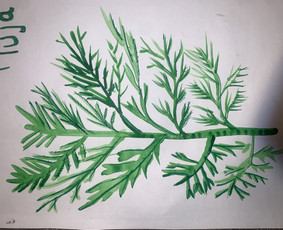 Grafikos darbai - Šaržai, iliustracijos - 4