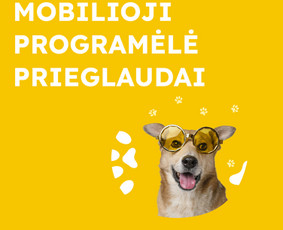 Mobiliųjų aplikacijų kūrimas - Mobiliosios aplikacijos &ndash; nuo idėjos iki paleidimo - 3