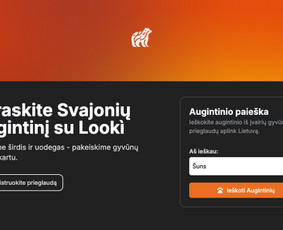 Mobiliųjų aplikacijų kūrimas - Mobiliosios aplikacijos &ndash; nuo idėjos iki paleidimo - 2