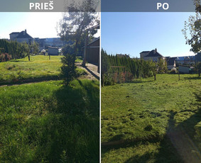 Pjaunu veją žoliapjove ir trimeriu, išrašau Sf / Tomas aplinkos priežiūra / Darbų pavyzdys ID 4125038