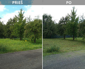 Pjaunu veją žoliapjove ir trimeriu, išrašau Sf / Tomas aplinkos priežiūra / Darbų pavyzdys ID 4125044
